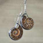 Kolczyki z amonitu