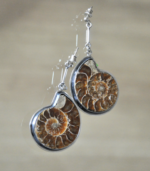 Kolczyki z amonitu